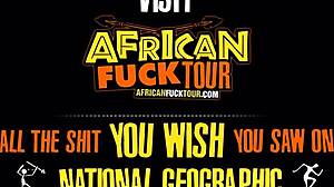 Amaterska ebony četvorka sa velikim belim kurcem, turistički POV na AfricanFuckTour