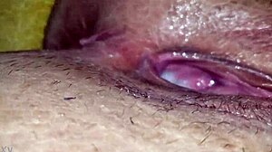 Επιστροφή με έκπληξη κρέμα