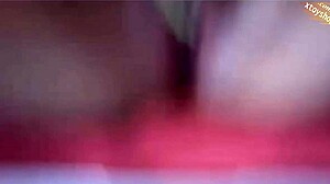 Tina Britannica Asiatica 18+ Scopa con Ferro per Capelli e Bottiglia