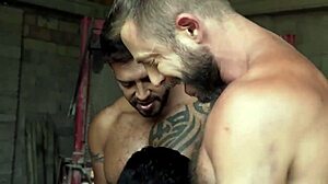 वाह, यह गर्म गे ग्रुप ऑर्गी देखो!