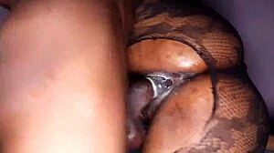 newest horny ebony petite begs for bareback pov pounding