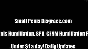 mistress laughs at your tiny penis sph humiliation you're too small