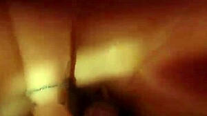i pound this desperate french brunette bitch's mouth for cash in heels