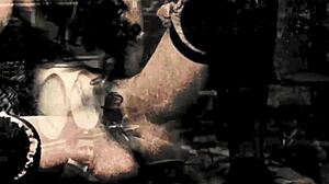 vintage silent films showcase retro hairy beaver close-ups