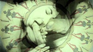 vintage silent films showcase retro hairy beaver close-ups