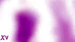 Skinny Brunette Takes 5 BBCs Balls Deep In Anal DAP Gapes Creampie Swallow