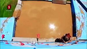 i can't stop watching these pretty danish bikini girls wipeout at the pool