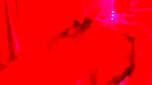 Amateur wife shakes her big ass in fishnets for me