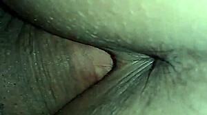 cogida que le doy a mi esposa en cuatro le meto todo mi guevo