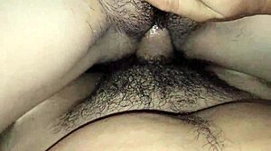 arbusto natural de mi hijastra