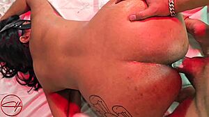 deutsche privater amateur gangbang ohne kondome