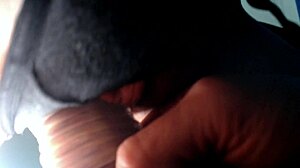 Huge tits girl sucks black cock