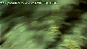 thick mexican with big natural tits gets fucked hard