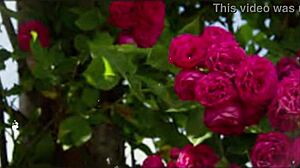 bangla sex story motivational story new emotional story bangla romantic sex story part 2