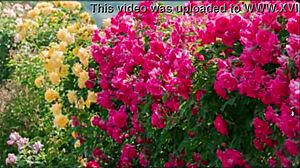 bangla sex story motivational story new emotional story bangla romantic sex story part 2