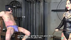 Goddess mistress youko trains slave with cbt