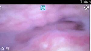 The pussy inside the clitoris