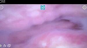 The pussy inside the clitoris