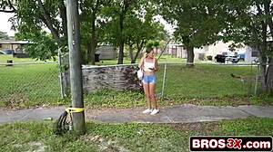 petite brunette gets ass fucked by huge bbc