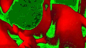 Bbw brunette worships cock in close up blowjob session with blindfold