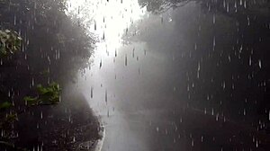 mom bends over for anal creampie in the forest at night