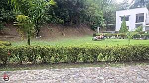 brandon cruz the gardener roughly fucks boss alejandra palacios outdoors