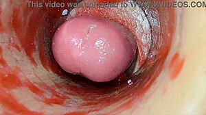 Camera captures deep pussy creampie ejaculation