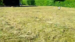 german prostitute whore milf sandra on mre nica croatia may 05 2026