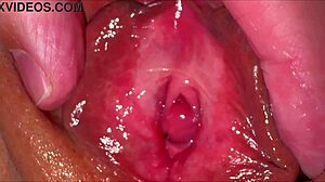 Amateur pink pussy after losing virginity