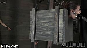 Extreme Sadomasochism Takes Control in Shocking Display