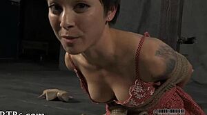 barbarous pussy delighting in intriguing ways