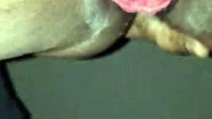 Wow, eating that wet ebony pussy before bed!