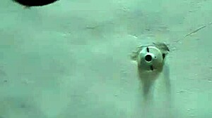 My comadre is sucking like crazy in this casual scene, you know?