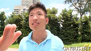 HOMOSEXUAL VIDEO SEX SCENES