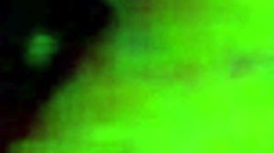 Perla Riding With Passion