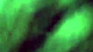 A tantalizing oral encounter unfolds suggestively