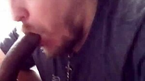 Guy sucks big black monster cock