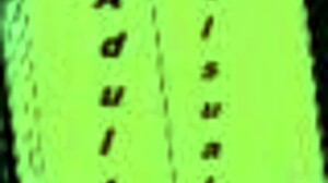 what's inside jennifer 40? explore the game world