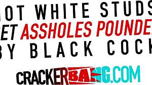 Interracial gay guys fuck bareback in the office, taking his virgin ass hard!