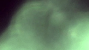 Amateur Milf Sucking Cock in Homemade Clip!