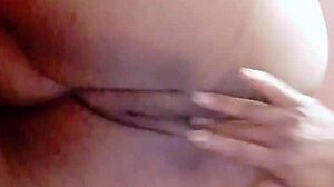 sundaydogood614 update 44 c360vid 20240128 163133 jan 29 2024