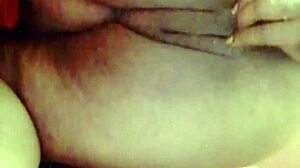 sundaydogood614 update 44 c360vid 20240128 163133 jan 29 2024