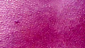 Latina amateur deepthroats big cock in lingerie before anal blowbang with natural tits