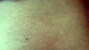 Latina amateur deepthroats big cock in lingerie before anal blowbang with natural tits