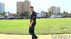 Want to see some free homosexual sex videos?