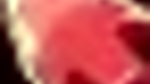 redhead flight attendant in cosplay kicks off honeysun gameplay part 1 with wild action