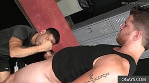 cesar rossi fucks ashton mckay in locker room