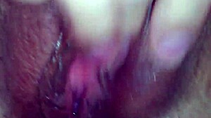 Team Cream Pie Action Unleashed