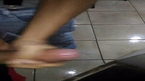 Pará Faz Jacaré Gozar Wildly