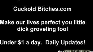 I have a fun new cuckold game with humiliation and cheating for you